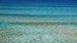 waves-10