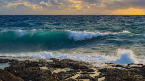waves-2